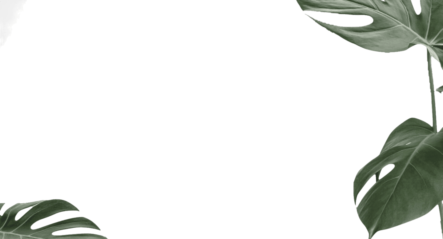 Folhas decorativas de fundo